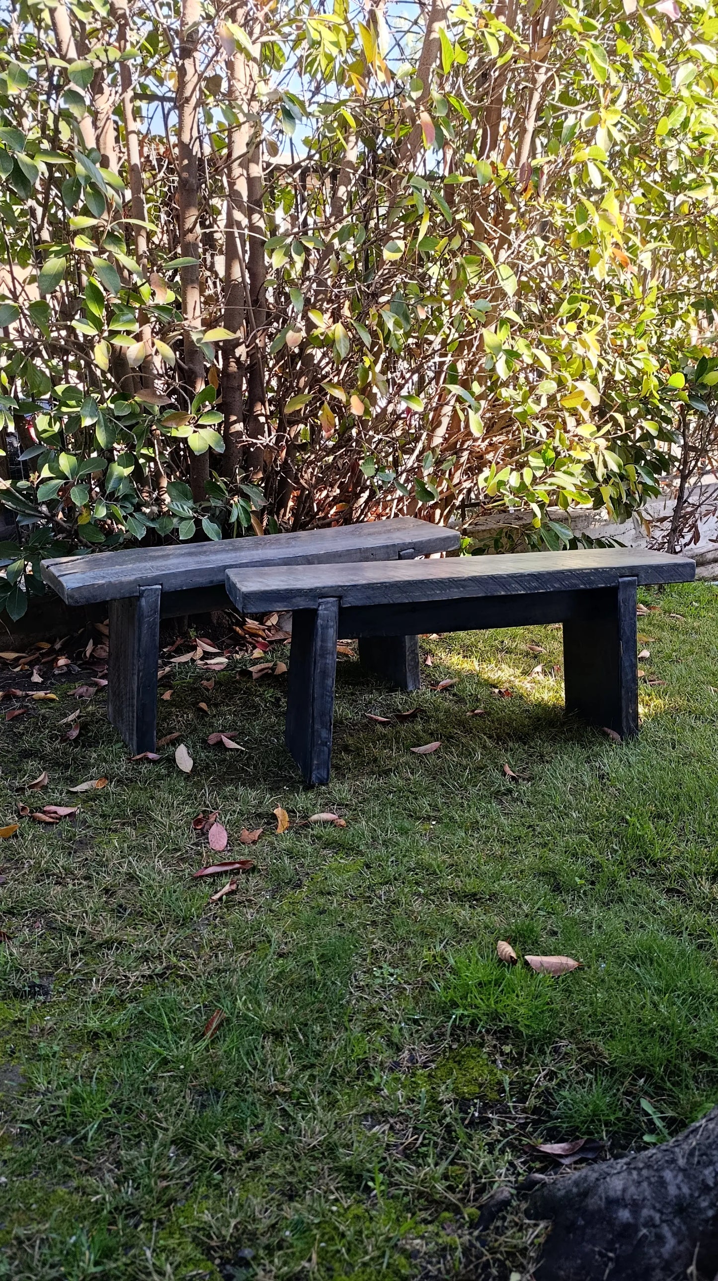 Bancas_de_comedor_frente_gris