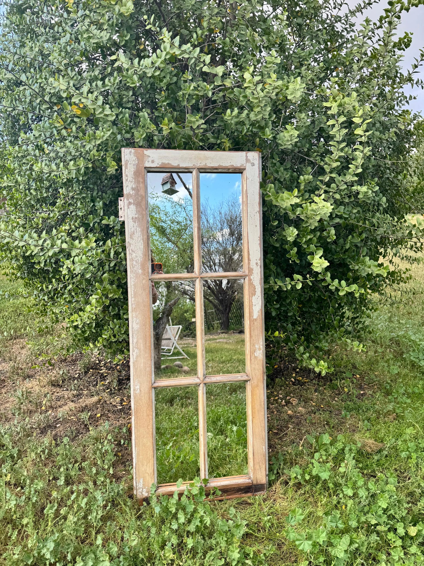 Espejo_de_ventana_sobre_matorral