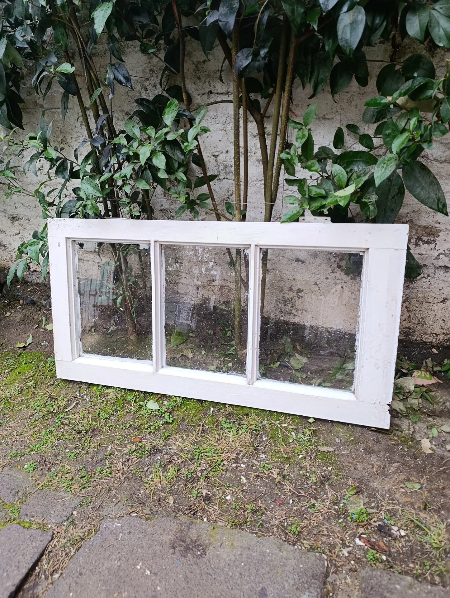 Ventana Antigua de Raulí 1mt x 50cm