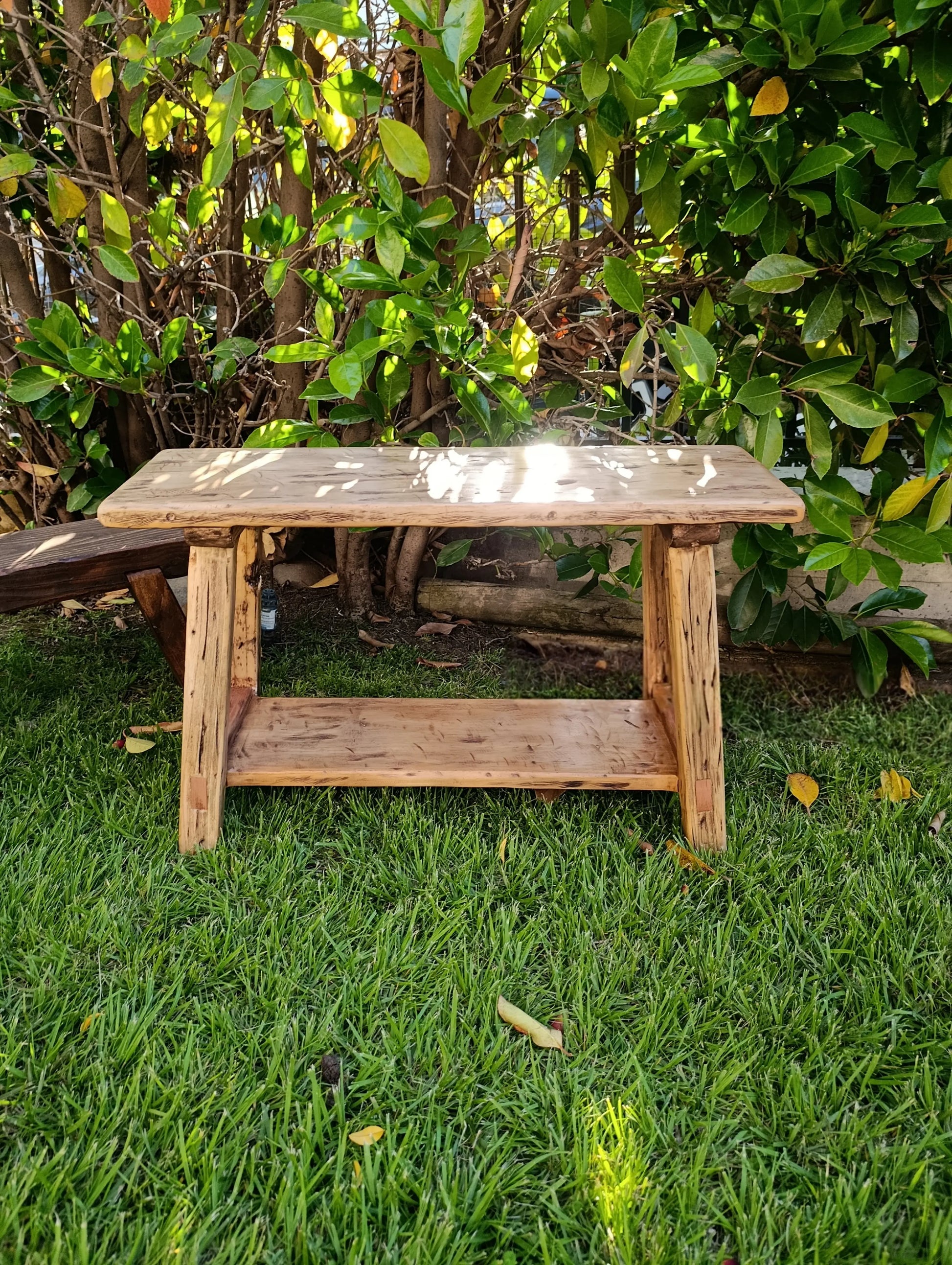 Banca_Roble_americano_alamo_principal