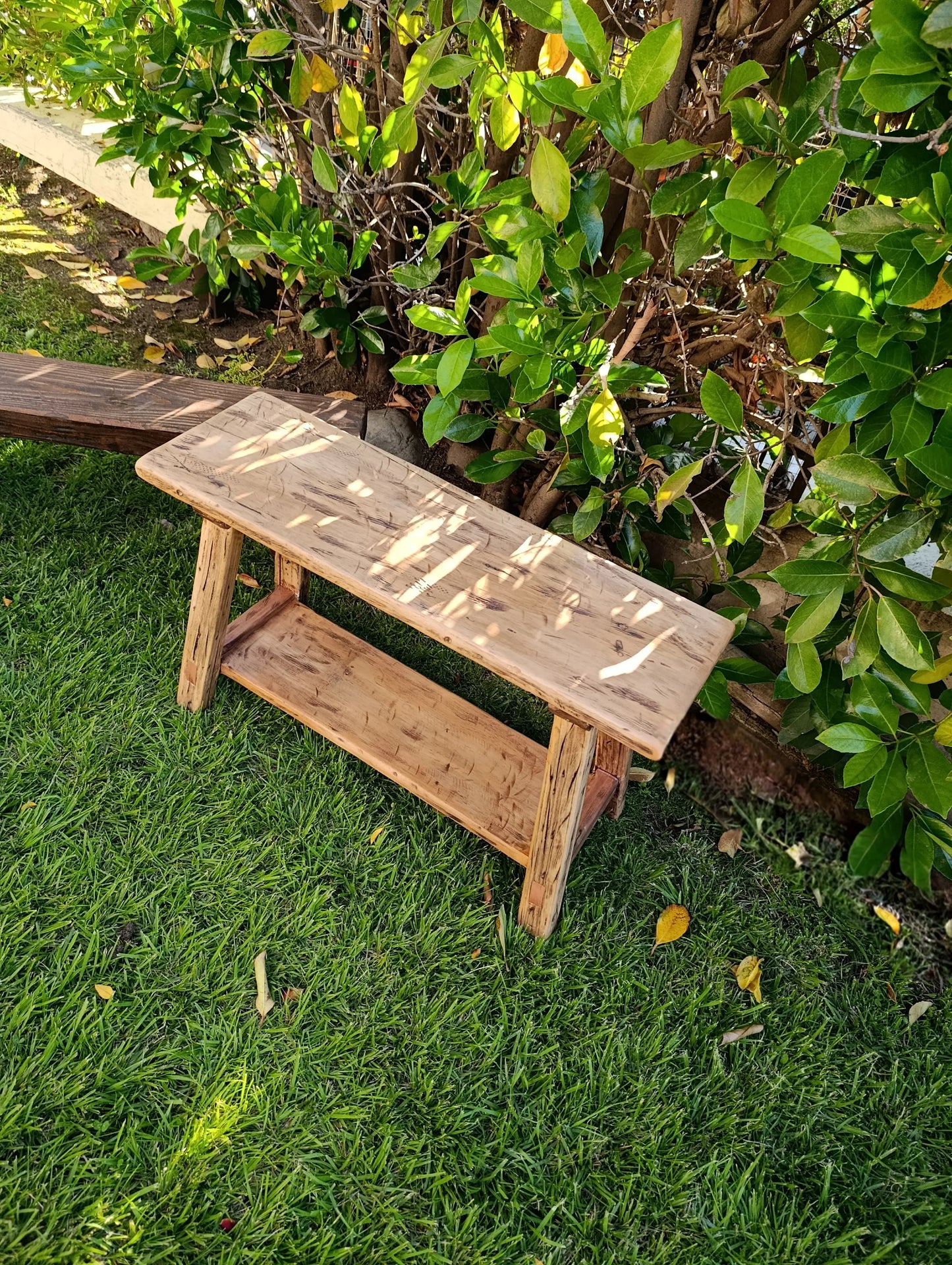 Banca_Roble_americano_alamo_vista_superior