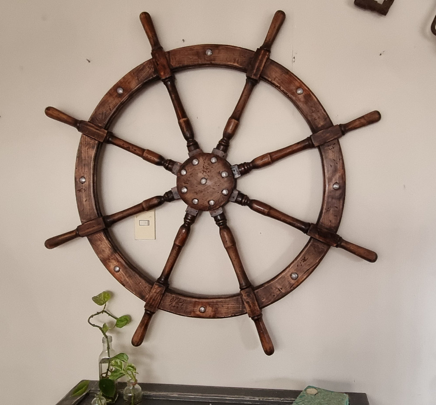 Timon_frente_completo