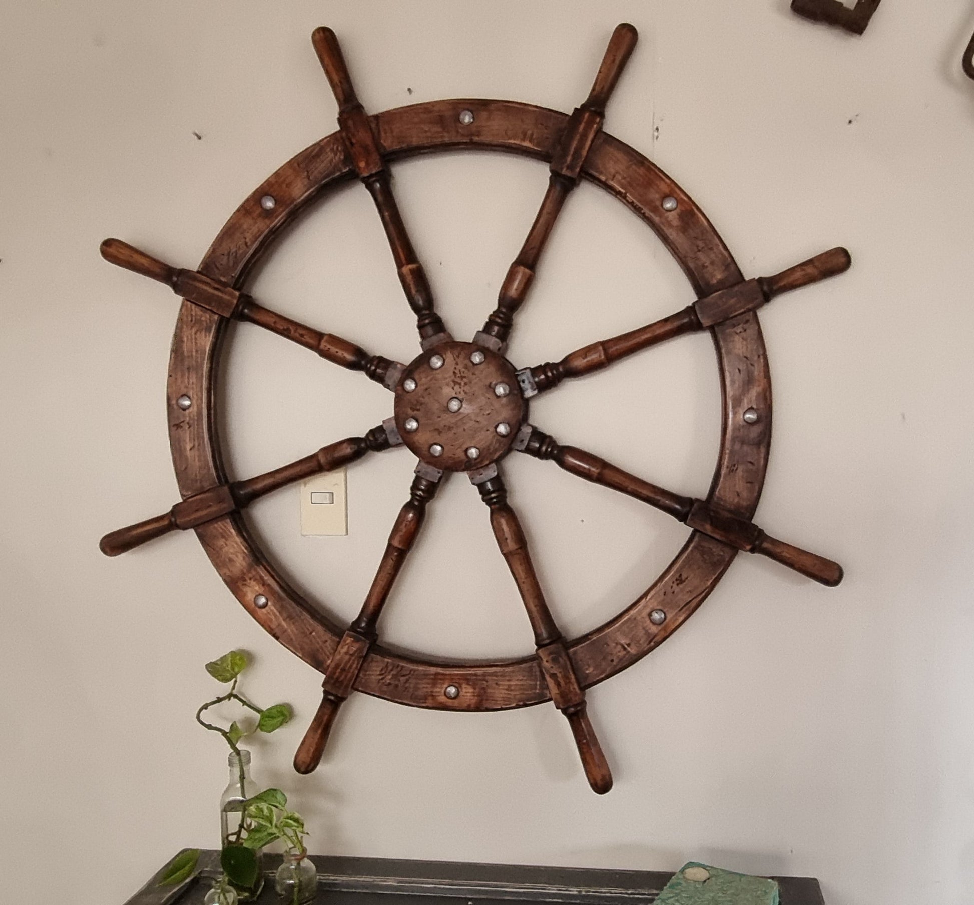 Timon_frente_completo