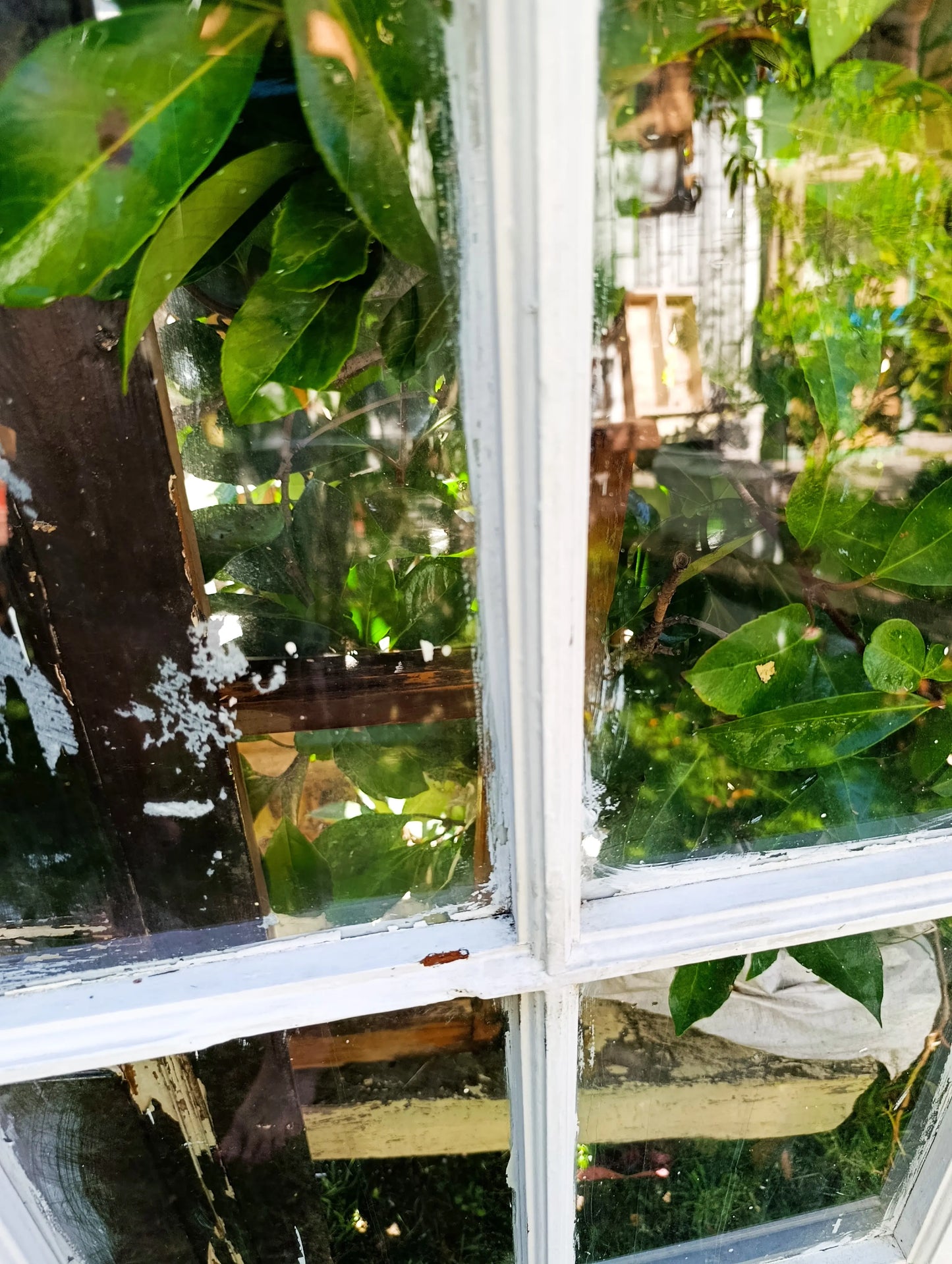 Ventana Antigua de Madera Noble Rescatada – Pieza Única con Historia | dePostigo