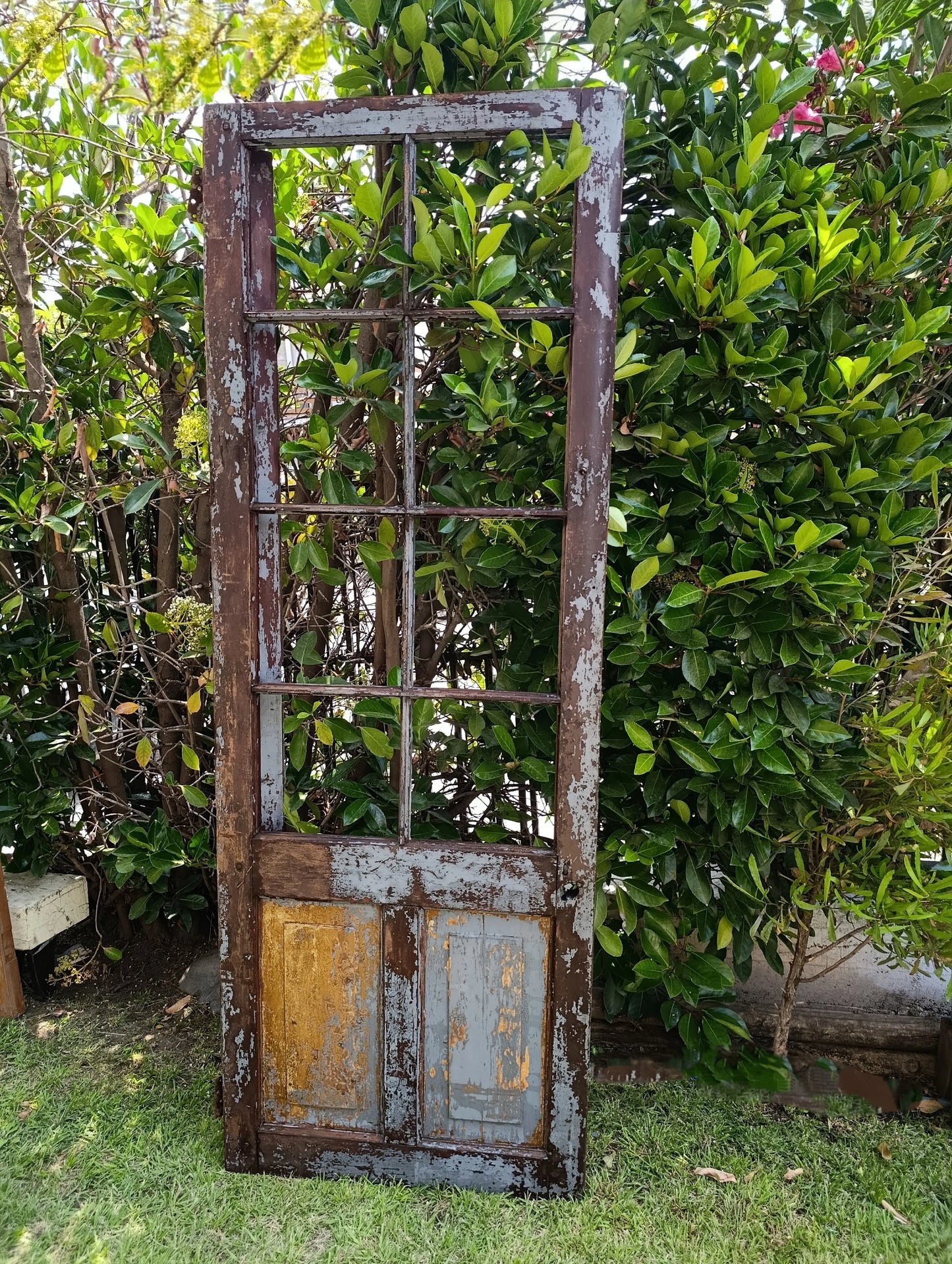 Puerta antigua de Roble· Antes de volver a nacer