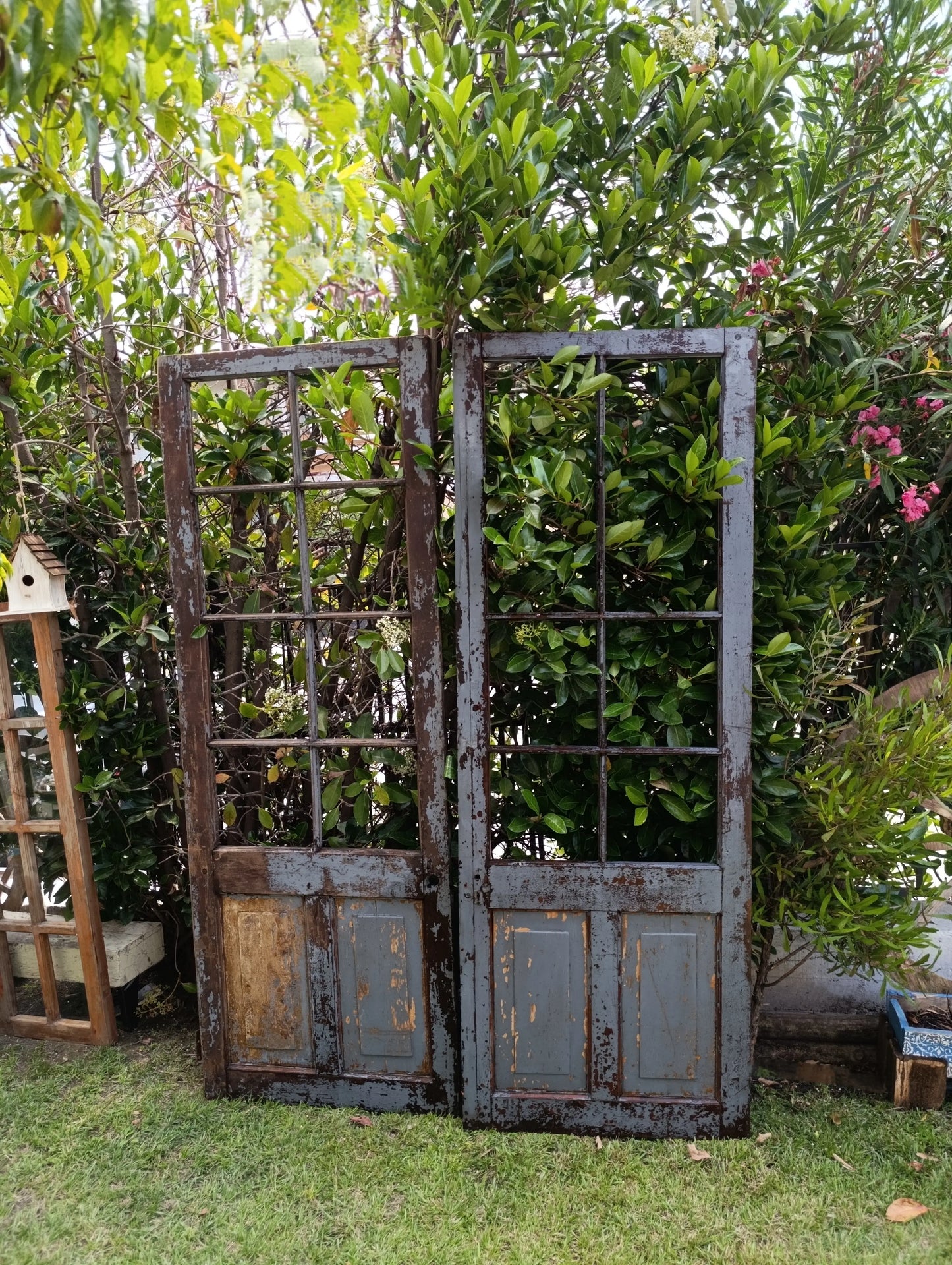 Puerta antigua de Roble· Antes de volver a nacer