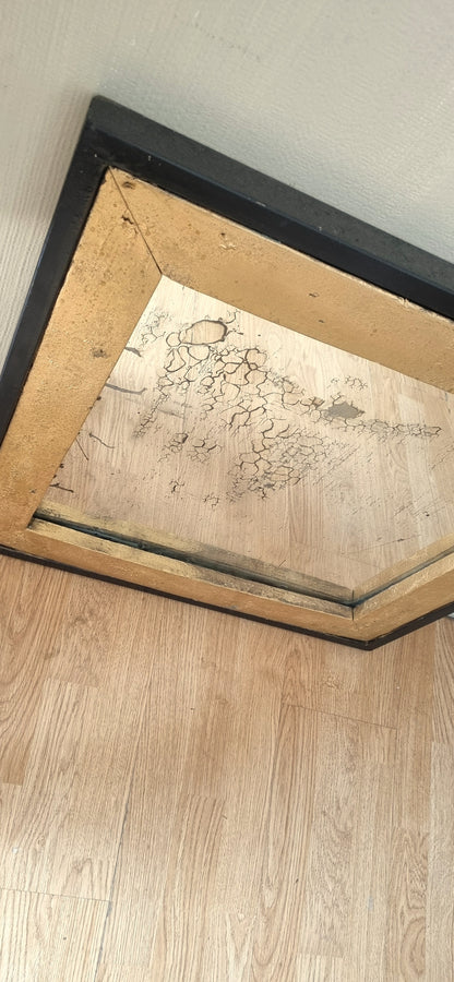 Espejo Único con Marco de Aluminio Negro y Madera Dorada
