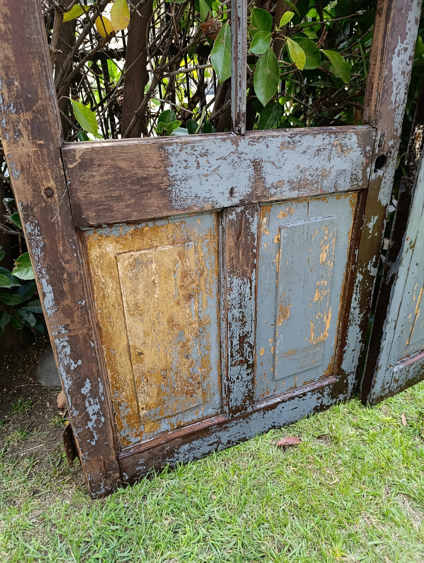 Puerta antigua de Roble· Antes de volver a nacer